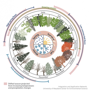 Earth Seasons