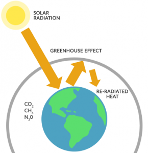 How The Greenhouse Effect Traps Heat And Warms Earth Earth How