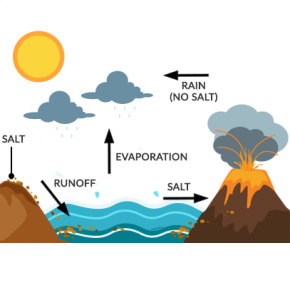 Ocean Salinity