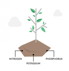 Soil Nutrients