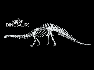 Age of Dinosaurs
