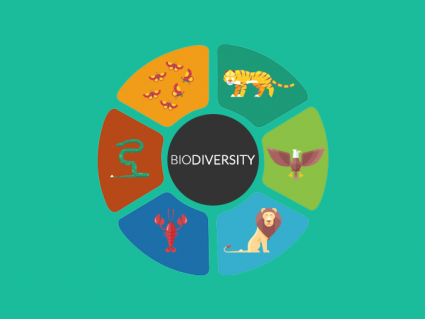Biological Diversity Biodiversity