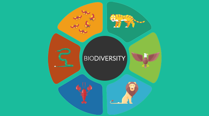 What Is Biodiversity Biological Diversity Earth How