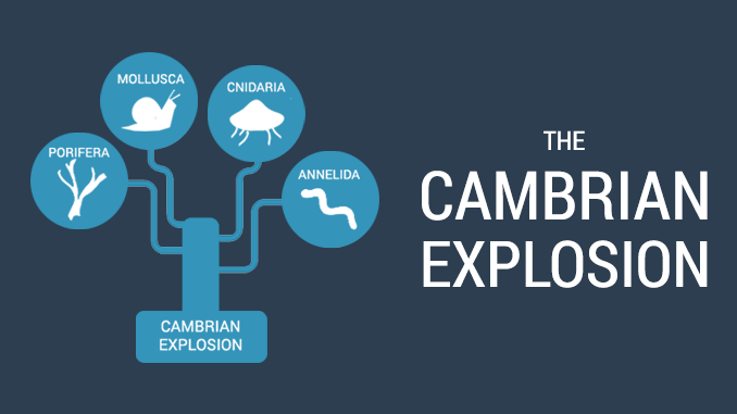 Cambrian Explosion Cambrian Explosion
