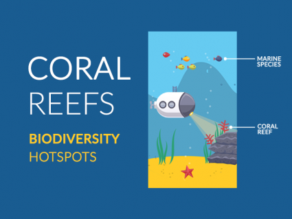 Coral Reef Facts: Ocean Biodiversity Hotspots