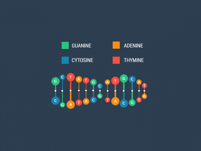Human Timeline How Long Have Humans Existed? Earth How