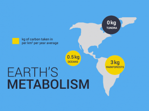 Net primary productivity - Earth metabolism