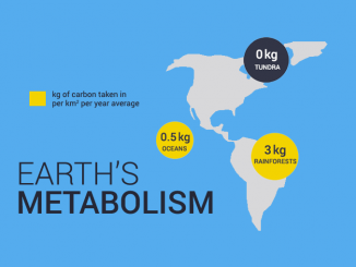 Earth Metabolism