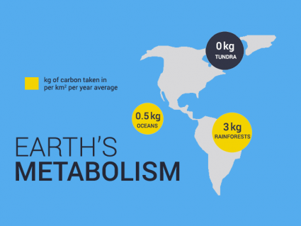 Net primary productivity - Earth metabolism