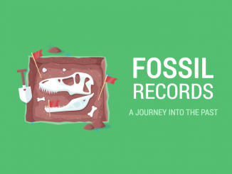 Fossil Records