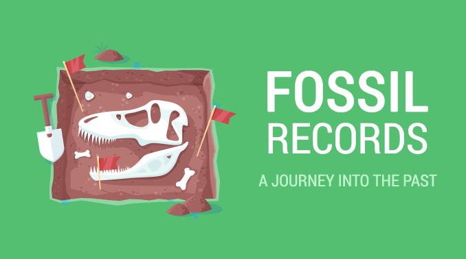 Fossil Records: A Journey into the Past - Earth How