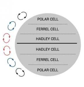 Hadley Ferrel Polar Cells