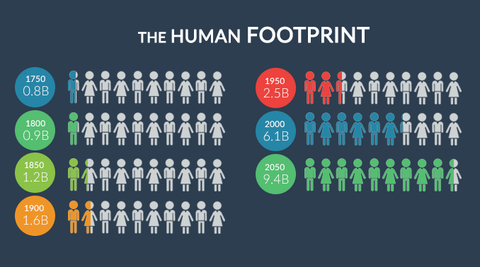 The Human Footprint: 8 Billion People on Earth - How