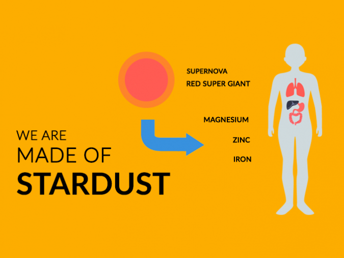 Human Timeline How Long Have Humans Existed? Earth How