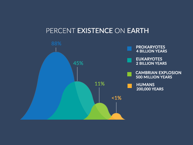 Human Life On Earth Timeline The Earth Images Revimage Org
