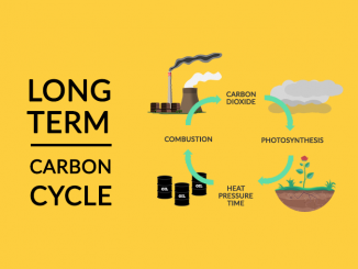 Long-Term Carbon Cycle