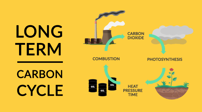 Long-Term Carbon Cycle
