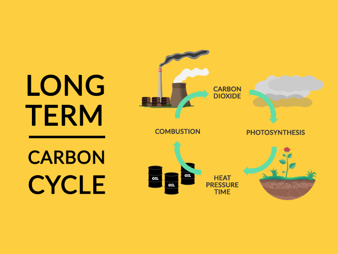 Long-Term Carbon Cycle
