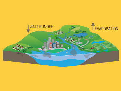 Ocean Salinity: How Much Salt is in Oceans?