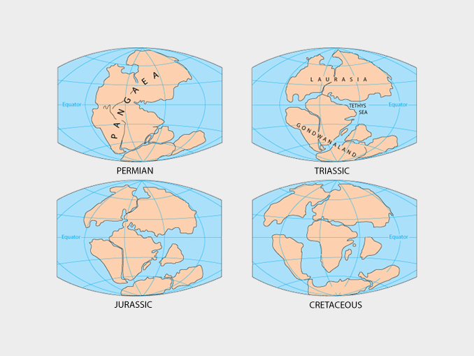 continental drift stages