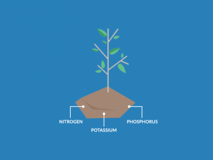 Soil Nutrients