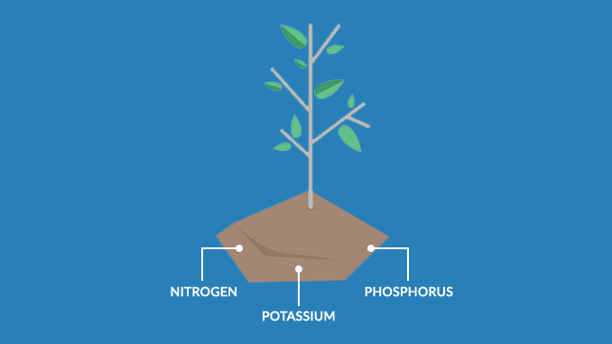 Soil Nutrients Soil Nutrients