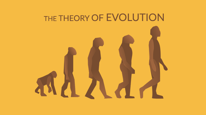 what is the thesis of theory of evolution