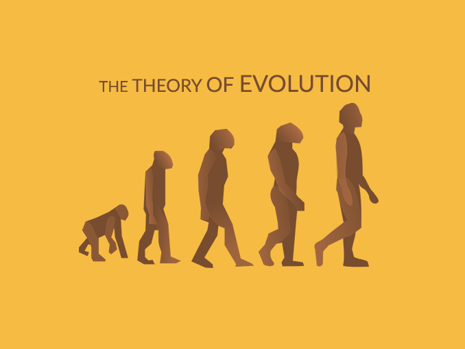 Theory of Evolution