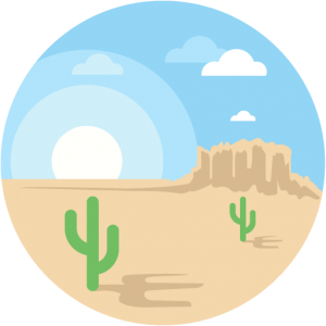 Desert Cactus Landscape