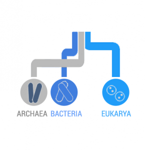 Domains of Life