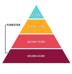 Forester Salary