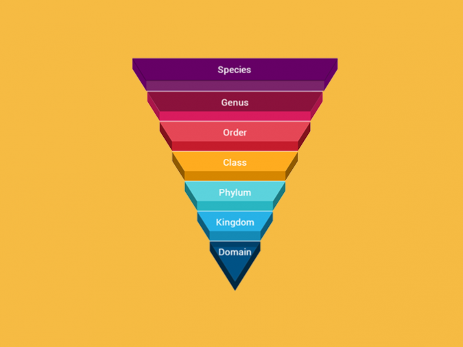 Human Timeline How Long Have Humans Existed? Earth How