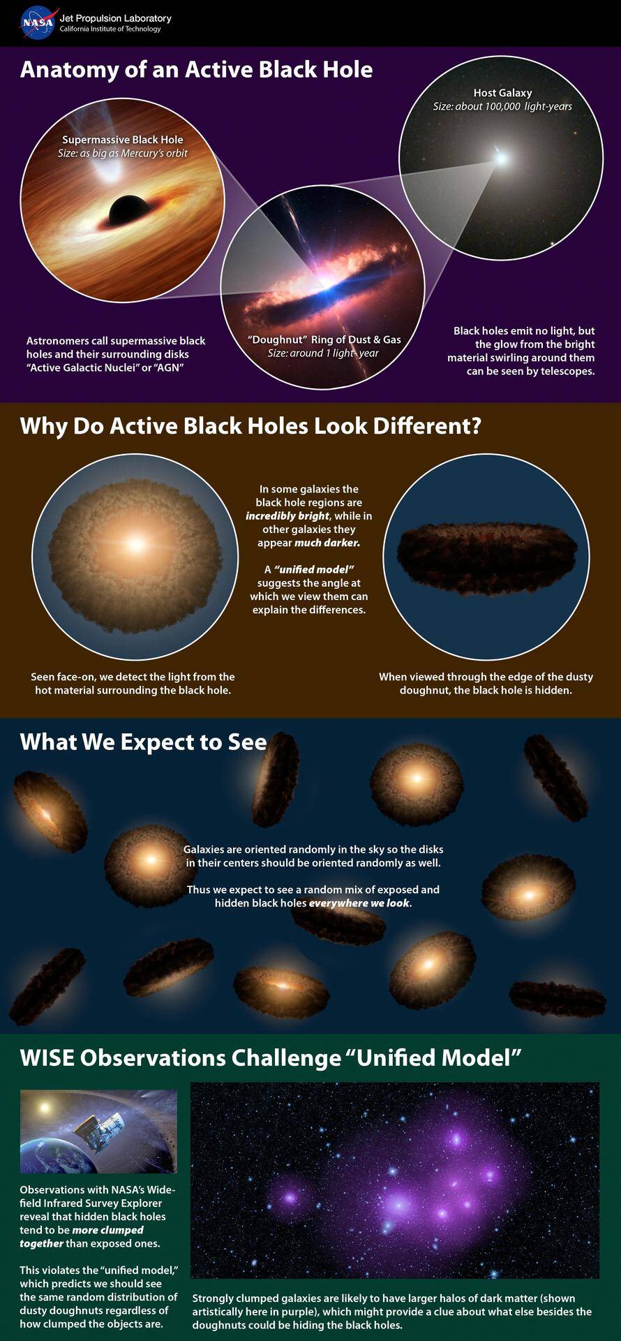 Supermassive Black Holes Infographic