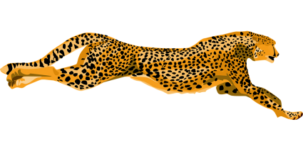 Earth Speed Cheetah