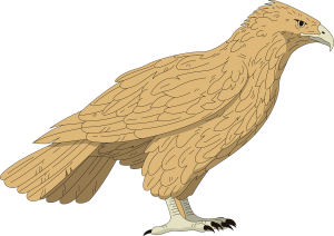 Earth Speed Peregrine Falcon