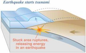 how tsunamis form