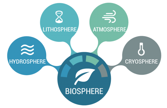 The Biosphere: Life on Earth - Earth How