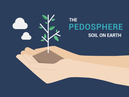 The Pedosphere: Soil on Earth
