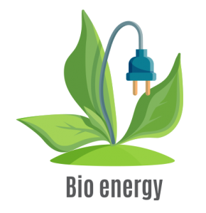 Bioenergy Power