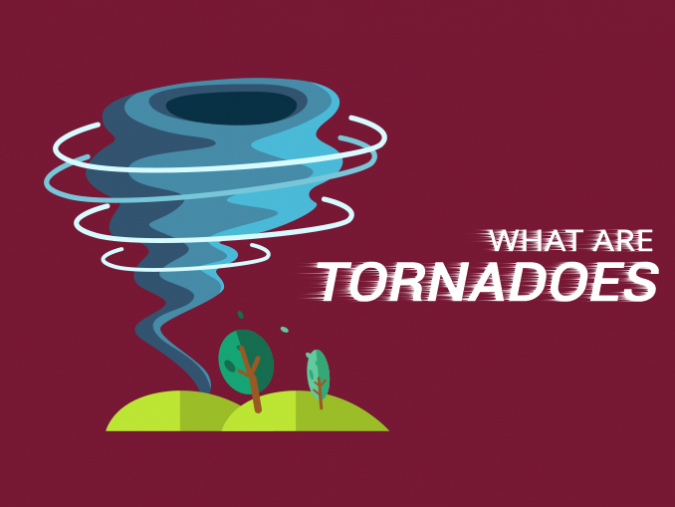 A Beginner's Guide to Earth Magnetic Field - Earth How