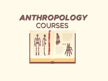 Human Studies and Anthropology Courses