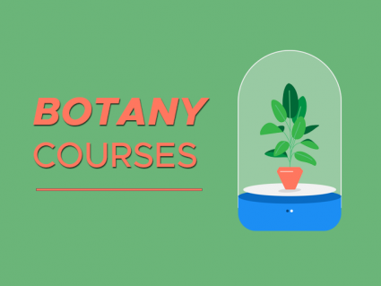 Botany Courses – Learn Plant Science