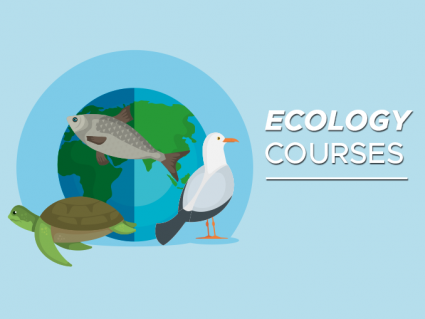 Ecology Courses – Introduction to Ecosystems
