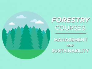 Forestry Courses