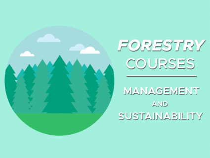 Forestry Courses and Online Certification