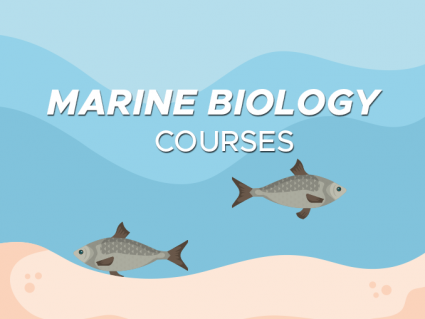 Marine Biology Courses