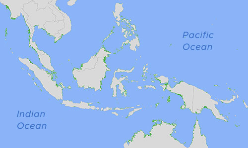 Mangroves Southeast Asia