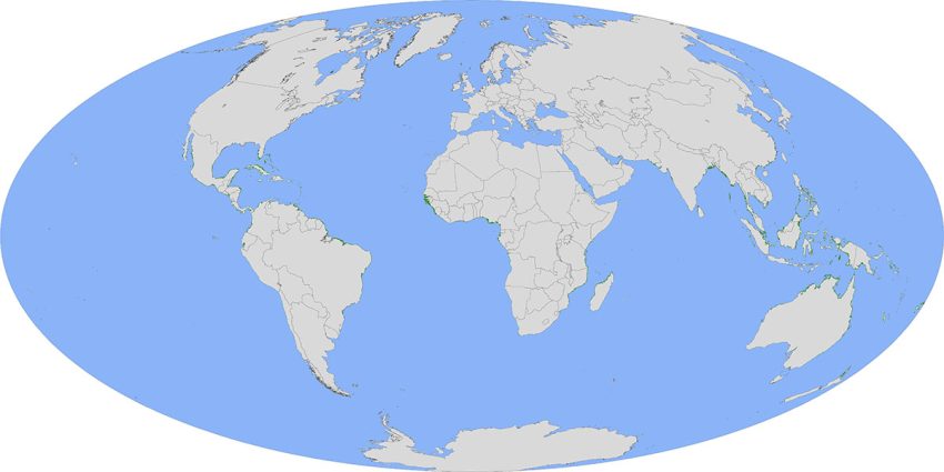 Mangroves World Map