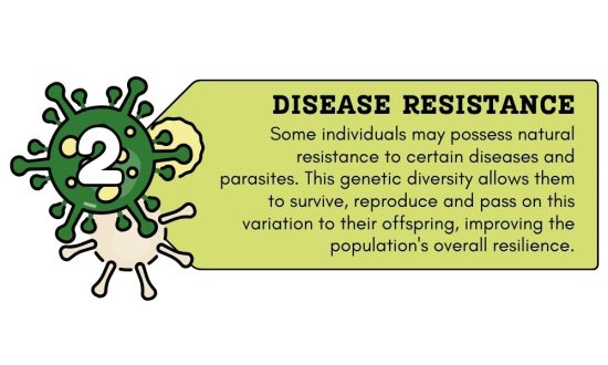 Disease Resistant
