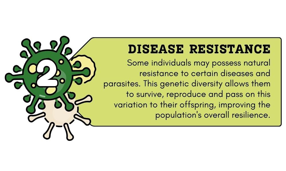 Genetic Diversity - Advantages and Disadvantages - Earth How image.